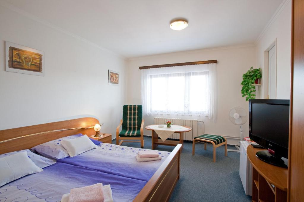 Pension Minor Ceske Budejovice Oda fotoğraf